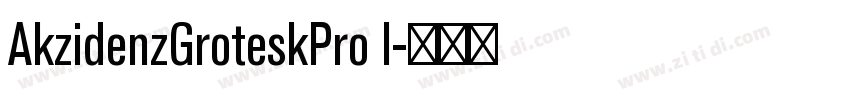 AkzidenzGroteskPro I字体转换